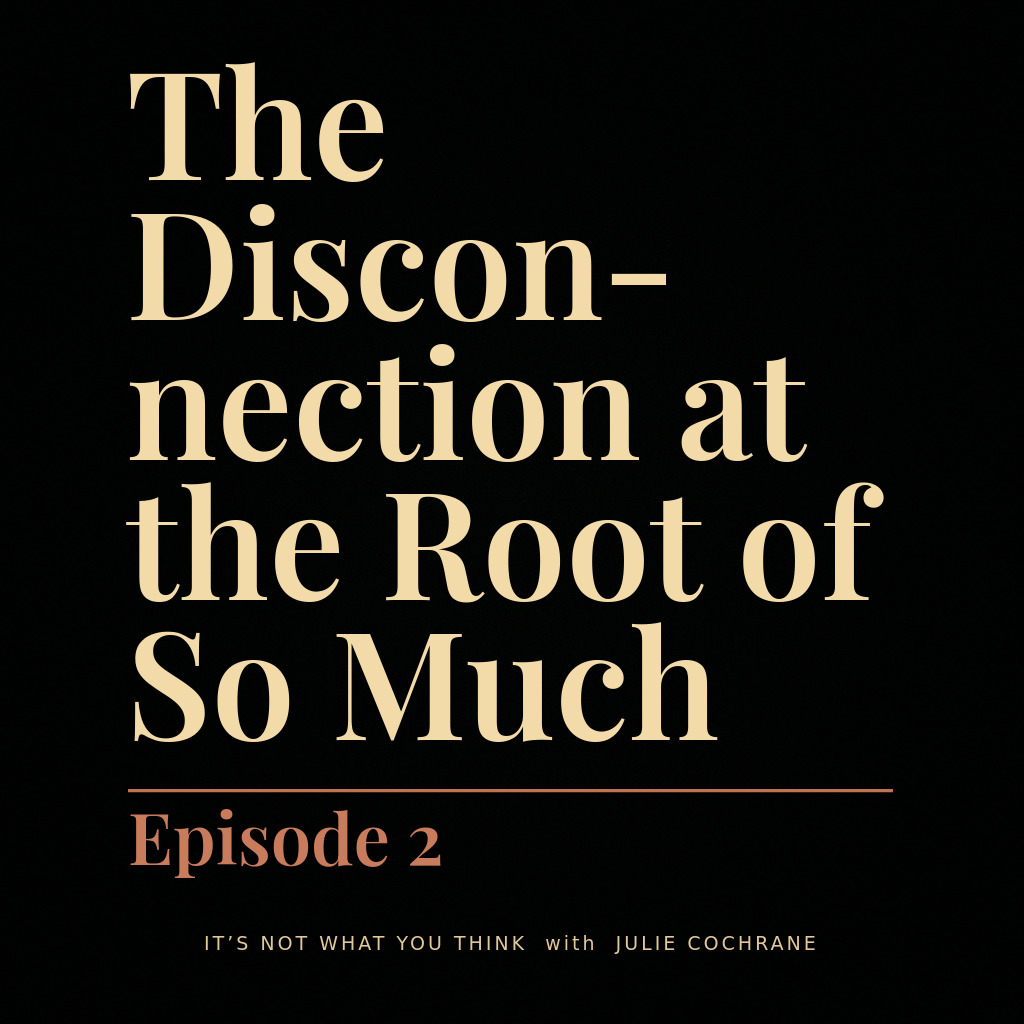 The Disconnection at the Root of So Much — episode artwork