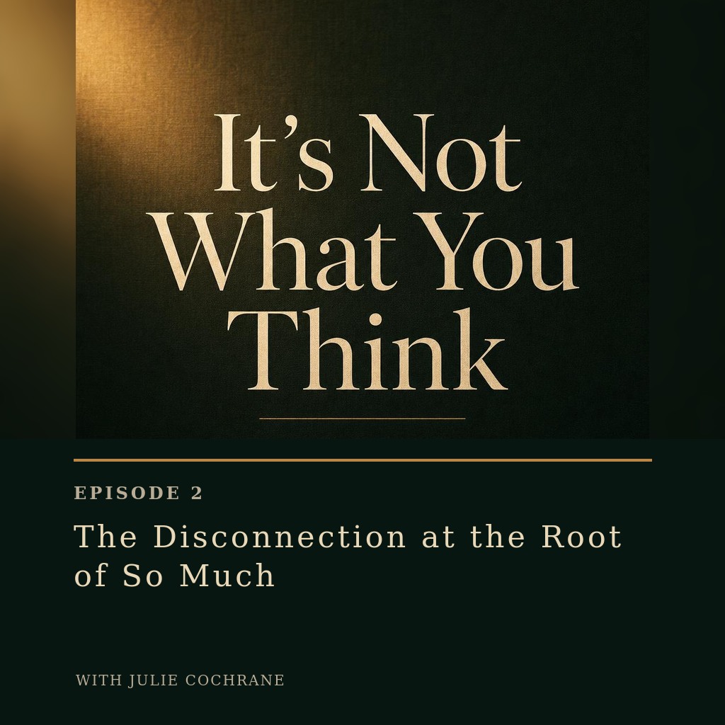 The Disconnection at the Root of So Much — episode artwork